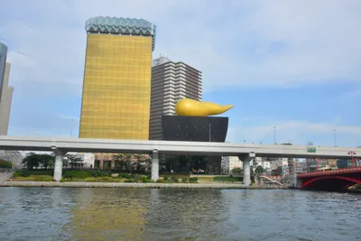 DSC_3430 (Large).JPG